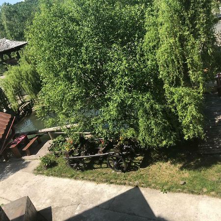 Pensiune Pastravarie La Pintea Haiducu Deseşti Εξωτερικό φωτογραφία