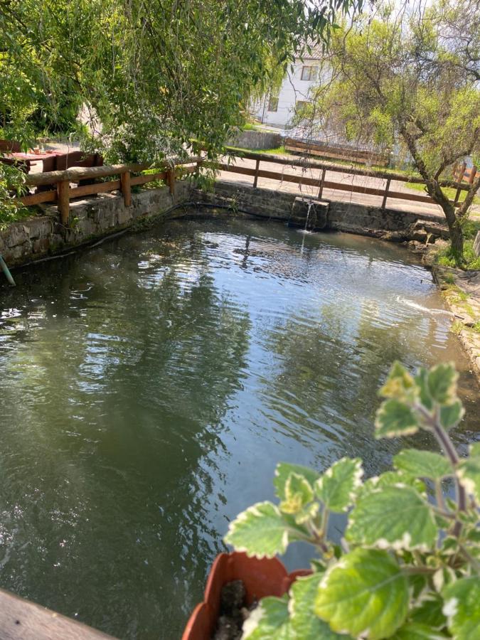 Pensiune Pastravarie La Pintea Haiducu Deseşti Εξωτερικό φωτογραφία